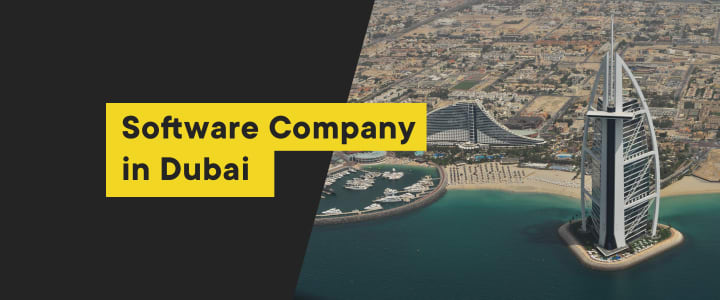  Software company in Dubai - how to choose one?